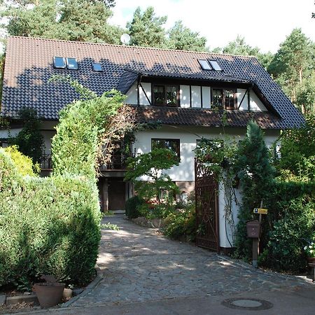 Pension Tannenspitze Wittenberg Exterior photo
