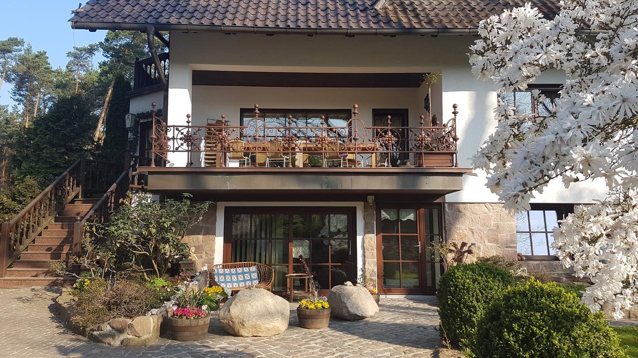Pension Tannenspitze Wittenberg Exterior photo